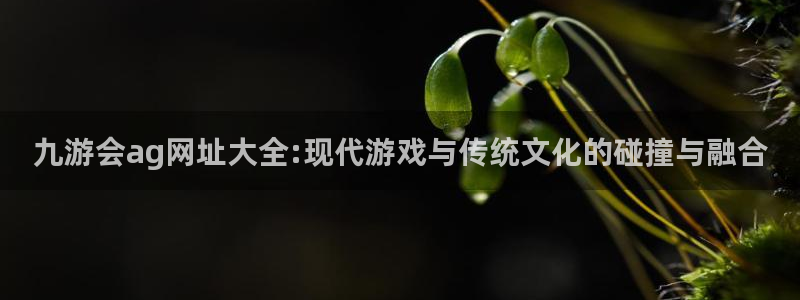 琳琅娱乐app哪个模式容易赢：九游会ag网址大全:现代游戏与传统文化的碰撞与融合