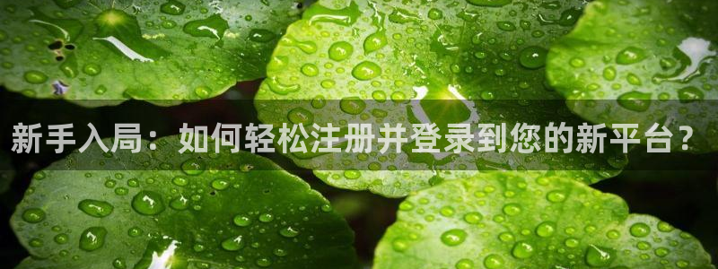琳琅娱乐app注册地址：新手入局：如何轻松注册并登录到您的新平台？