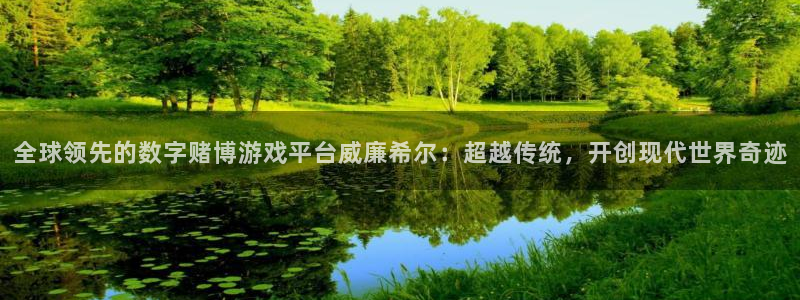 琳琅娱乐游戏官网平台：全球领先的数字赌博游戏平台威廉希尔：超越传统，开创现代世界奇迹