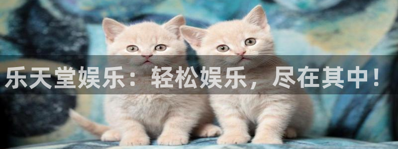 琳琅娱乐体育官网：乐天堂娱乐：轻松娱乐，尽在其中！