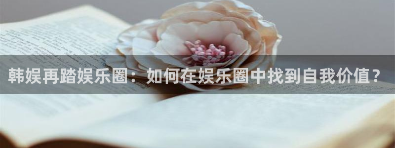 琳琅娱乐是啥：韩娱再踏娱乐圈：如何在娱乐圈中找到自我价值？