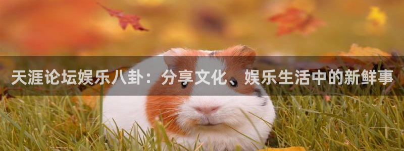 琳琅娱乐网页版登：天涯论坛娱乐八卦：分享文化、娱乐生活中的新鲜事