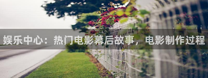 琳琅娱乐注册网站：娱乐中心：热门电影幕后故事，电影制作过程