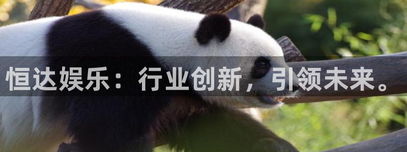琳琅娱乐官网版：恒达娱乐：行业创新，引领未来。