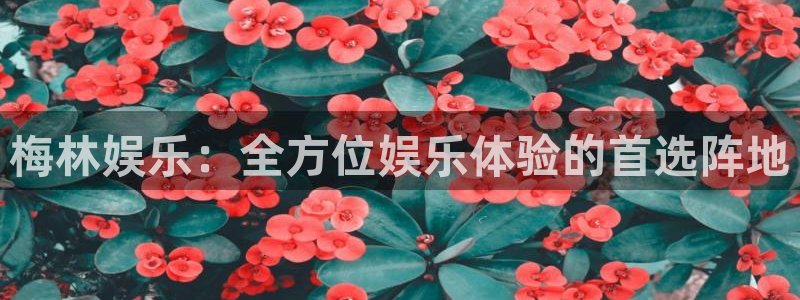 琳琅娱乐平台：梅林娱乐：全方位娱乐体验的首选阵地