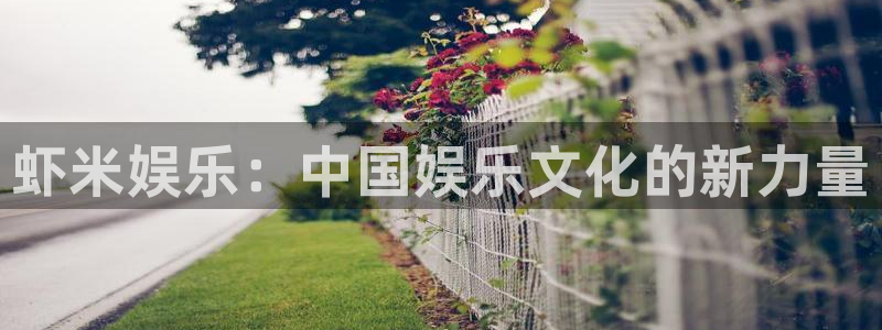 琳琅娱乐现在优惠多少：虾米娱乐：中国娱乐文化的新力量
