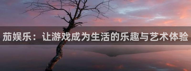 琳琅娱乐体育凯捷登陆：茄娱乐：让游戏成为生活的乐趣与艺术体验