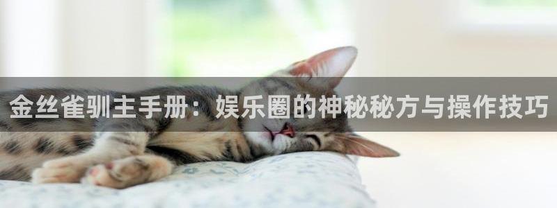 琳琅娱乐注册网站链接：金丝雀驯主手册：娱乐圈的神秘秘方与操作技巧