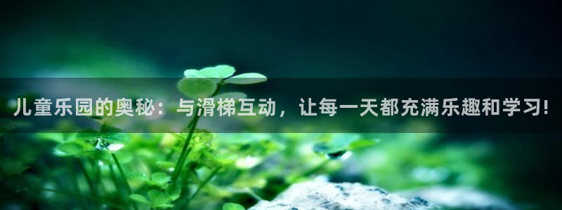 琳琅娱乐官网下载：儿童乐园的奥秘：与滑梯互动，让每一天都充满乐趣和学习!