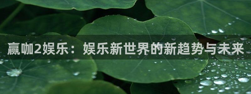 琳琅娱乐体育凯捷代理注册：赢咖2娱乐：娱乐新世界的新趋势与未来