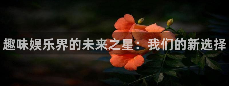 琳琅娱乐.ccm苹果版：趣味娱乐界的未来之星：我们的新选择