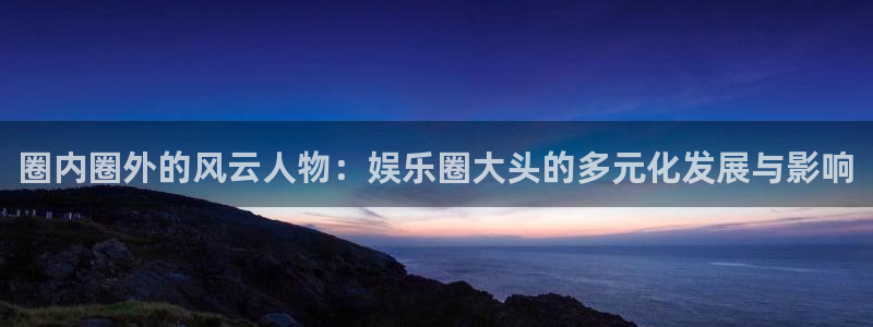 电子游戏琳琅娱乐：圈内圈外的风云人物：娱乐圈大头的多元化发展与影响