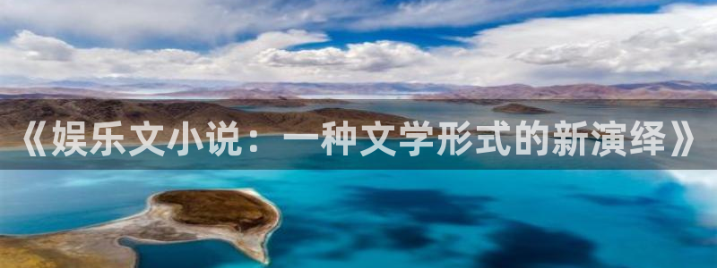 琳琅娱乐3代理：《娱乐文小说：一种文学形式的新演绎》