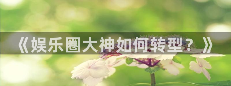琳琅娱乐平台官方入口：《娱乐圈大神如何转型？》