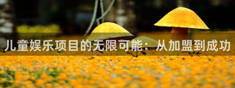 琳琅娱乐是什么：儿童娱乐项目的无限可能：从加盟到成功