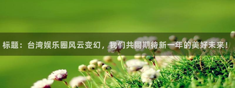 琳琅娱乐平台官网：标题：台湾娱乐圈风云变幻，我们共同期待新一年的美好未来！