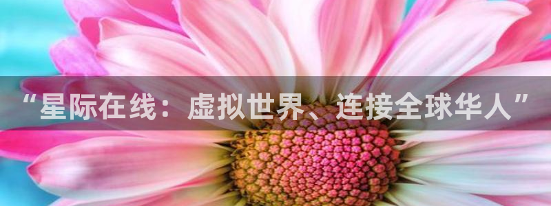 琳琅娱乐体育4：“星际在线：虚拟世界、连接全球华人”