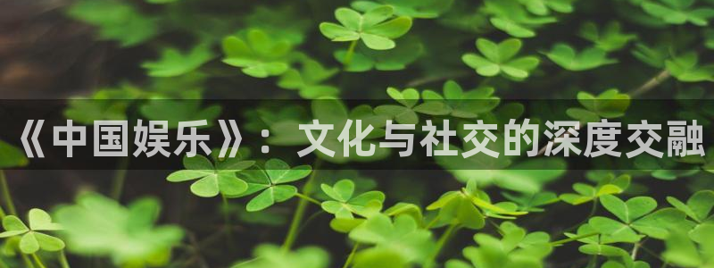 琳琅娱乐哪个游戏好爆：《中国娱乐》：文化与社交的深度交融
