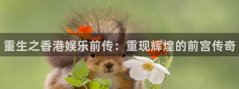 琳琅娱乐体育凯捷平台代理：重生之香港娱乐前传：重现辉煌的前宫传奇