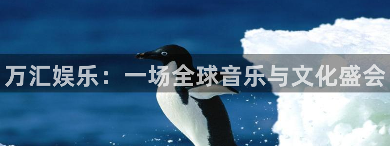 琳琅娱乐游戏官网入口：万汇娱乐：一场全球音乐与文化盛会