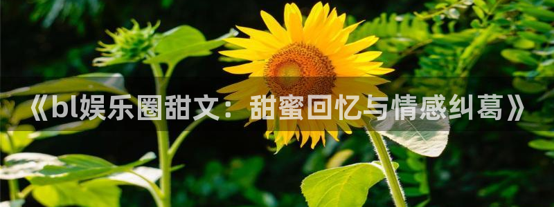琳琅娱乐平台注册入口：《bl娱乐圈甜文：甜蜜回忆与情感纠葛》