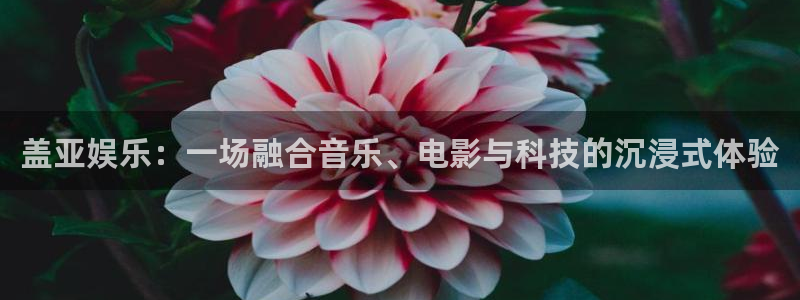 琳琅娱乐2官网：盖亚娱乐：一场融合音乐、电影与科技的沉浸式体验