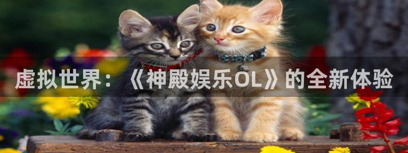 成都琳琅娱乐电子有限公司
