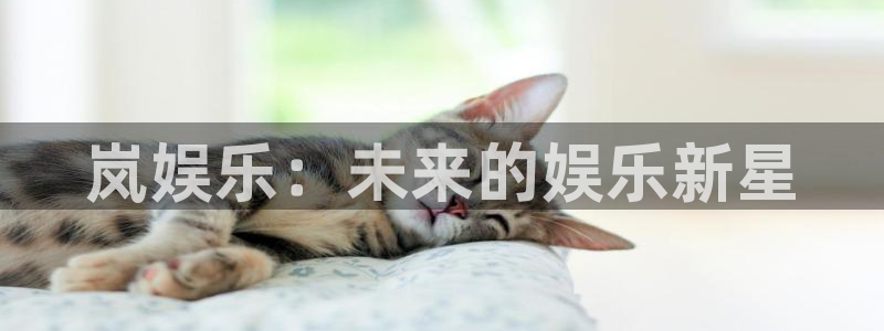 琳琅娱乐注册链接入口：岚娱乐：未来的娱乐新星