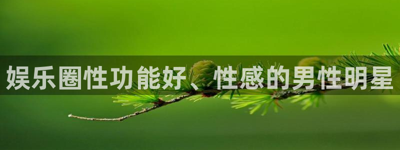 琳琅娱乐平台开户链接：娱乐圈性功能好、性感的男性明星