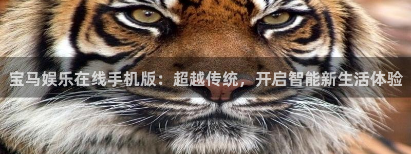 琳琅娱乐零能源集团：宝马娱乐在线手机版：超越传统，开启智能新生活体验
